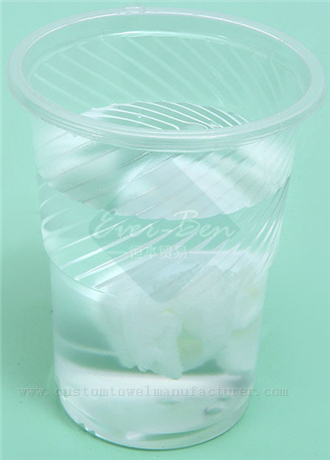 Travel Business Disposable Compressed Towel Compressed Face Towel Supplier